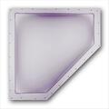 Bri-Rus Spec 24 x 12 In. Skylight Neo-Angle- White B1G-NSL2412W